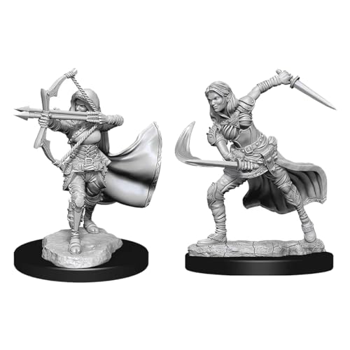 D&D Nolzur's Marvelous Miniatures: Air Genasi Female by WizKids - Used condition - US$8.33