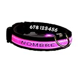 La correa de perro personalizada es un regalo original para regalar a tu mascota.