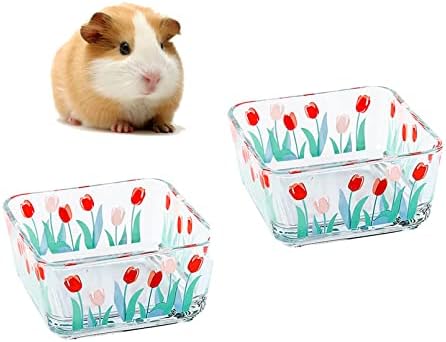 Acsist Hamster Food Bowl Small Animals Glass Water Bowl Food Dish Feeding Bowls for Guinea Pigs Gerbil Mouse Rat Chinchilla Hedgehog Sugar Glider(2 Pack,Tulip)