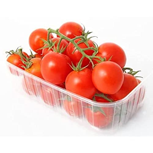 Tomate, Variété Cerise, Catégorie 1 - la barquette de 250g…