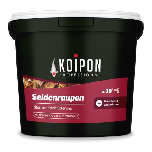 KOIPON Seidenraupen 1,5 kg getrocknet, Naturfutter ergänzend zu Koifutter für japanische Koi & Goldfische, Fischfutter, Leckerli zur Handfütterung
