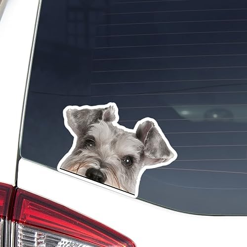 4 X 4 Off Road Calcomanía 4 X 4 4 WD Funny Ute