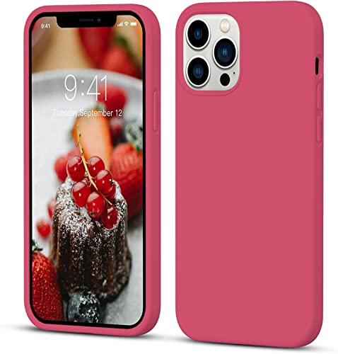 Image of VONZEE Basic Case for iPhone 12 Pro Max (Silicone | Hibiscus | Solid)