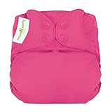 bumGenius Elemental 3.0 All-in-One One-Size Cloth Diaper with Organic Cotton (Countess)