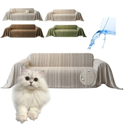 Lifetips GL]`bNOwA Exotic Longhair \t@[Jo[ k  􂦂 h }`Jo[ 2l| 3l| It IȂ ~ Eh~ LΉ lGʗp iubNj i230180CMj