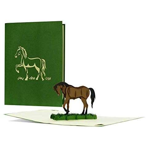 Birthday Card For Daughter With 3D Horse I Voucher for Equestrian Gifts|Birthday Gift for Horse Lovers, Riders and Girls| F20 Cover