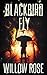 Blackbird Fly (Umbrella Man Trilogy Book 2)