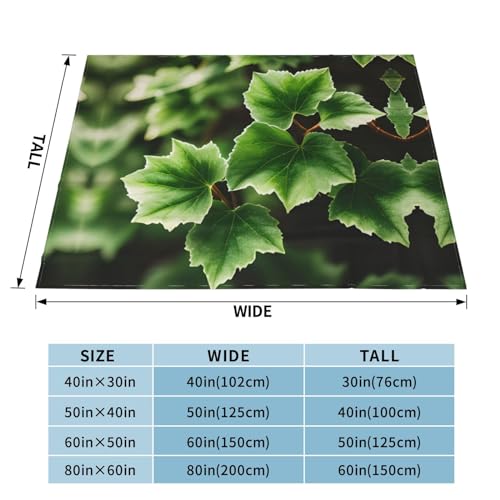Couverture douce chaude lierre fleurs pour vos soirées cocooning