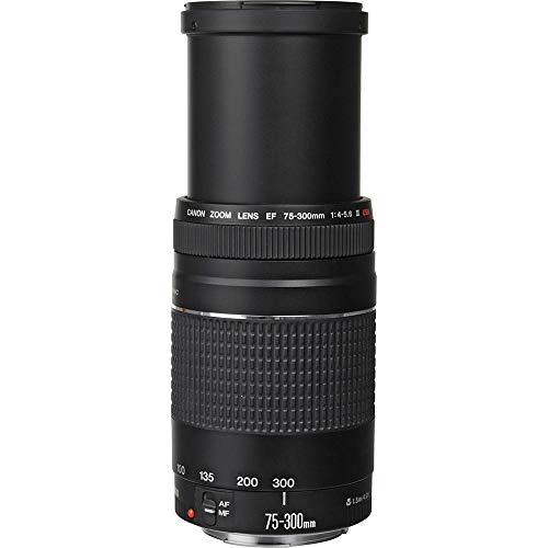 Canon EF 75-300mm f/4-5.6 III Lens PRO Bundle with Filter Kit, Telephoto and Wide Angle Lens, Tulip Hood Lens + Much More (Black) [International Version] - Thumbnail 4