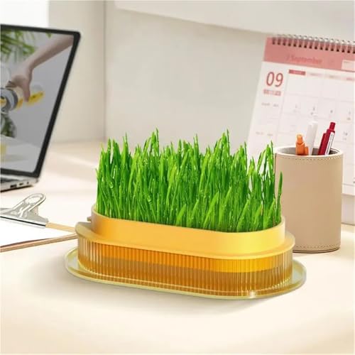 Plateau de germination conteneur hydroponique double couche - 4