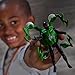Marvel Spider-Man VenomVersus Epic World of Action Miles Morales Deluxe Figure with Accessories, 4-Inch Super Hero Toys for Kids Ages 4+
