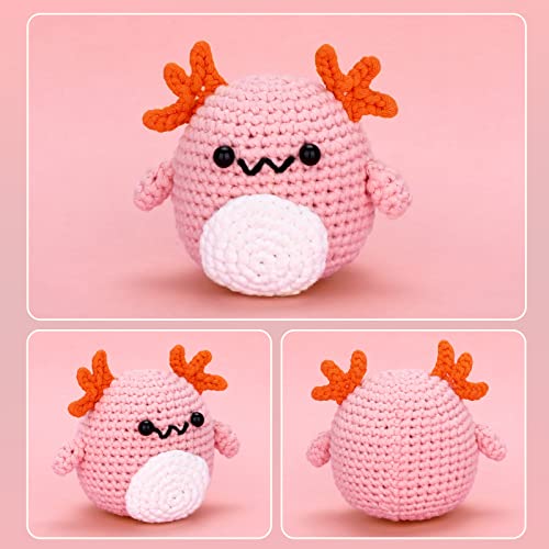 Loveknotpop Crochet Kit For Beginners: Animal Crochet Kit For Adults, Kids, Teens, Cute Axolotl, Include All You Need, Easy Knitting Soft Yarn, Step-By-Step Tutorial, Birthday Easter Mother Day Gift. #TOP1