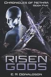 Risen Gods (Chronicles of Nethra)