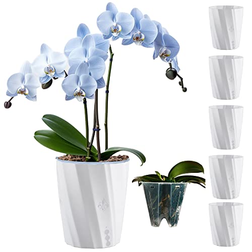 6 Pack 5-Inch Orchid Pot And Self-Watering Pots For Indoor Plants - Perfect Planter For Orchids, African Violet Pots - Long-Lasting Moisture Supply - Choose From 4 Elegant Colors! (White) #TOP8