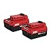 PORTER-CABLE 20V MAX Lithium Battery, 4.0-Ah, 2-Pack (PCC685LP)