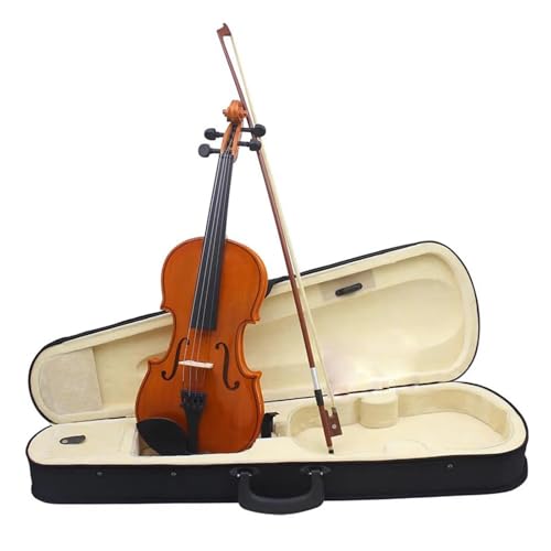 バイオリンケース バイオリン ケース」の人気商品一覧 | 安い商品を