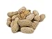 Anna and Sarah Roasted & Salted Jumbo Peanuts in Shell in Resealable Bag, 2 Lbs