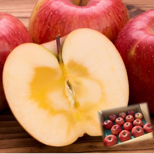 【糖度13度以上保証】青森県産 りんご 5kg (13〜20玉) 葉とらずふじ 蜜入り かぐや農園 家庭用 フジ フルーツ 通販