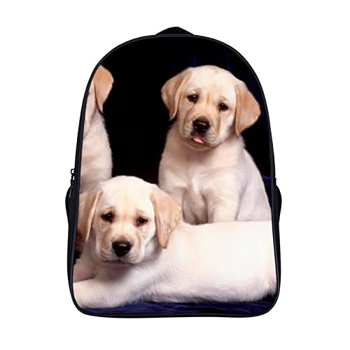 Sac à dos d'école pour enfants garçons sac de sport 3D cool animal