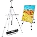 Ohuhu Aluminum Field Easel with Bag, 21 to 66-Inch Adjustable Height for Table-Top/Floor (OH-82003-02)