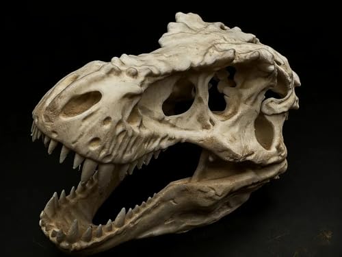 Image of 3D Printed T-Rex Dinosaur Skull Replica | Highly Detailed Tyrannosaurus Rex Fossil Model | Articulated Jaw | Desk & Shelf Decor | Paleontology Gift for Dino Lovers, Collectors & Home Display