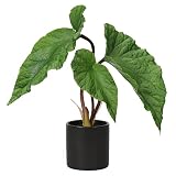 Fake Plants Artificial Potted Plants 12" Faux Plants Begonia Plants in Ceramic Pots Real Touch Leave