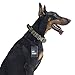 OneTigris Tactical Dog Collar with Handle and UTX-duraflex Buckles Adjustable Nylon Collar Fit Medium to Large Dog with 17'' - 24.2'' Neck Girth (OD Green)