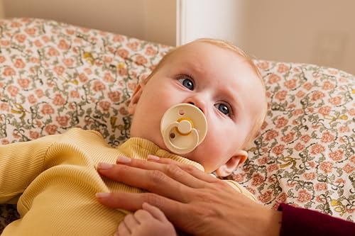Image of BIBS Colour Pacifier 2-Pack, BPA Free, Round Nipple. Natural Rubber Latex, Size 1 (0-6 Months) - Petal /Plum