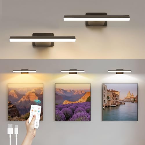 AMFUN 2 Pezzi Luce Per Quadri Senza Filo, Lampada Da Parete Ricaricabile con Telecomando, Luci LED Applique Con 3 Temperature Di Colore, per Esposizione Pittura Vetrina, Nero