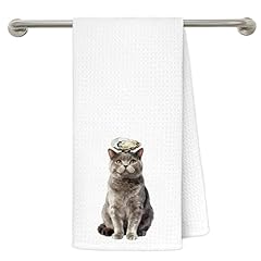 Towel-oyster British Shorthair Cat B