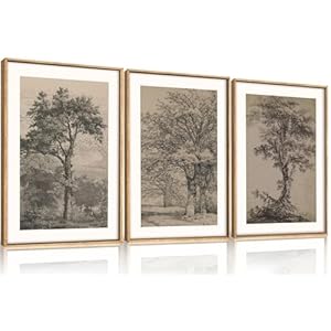 KAIRNE Vintage Tree Sketch Wall Art Set, Antique Tree Drawings Wall Decor, Nature Sketch Wall Painting, Framed Botanical Canvas Art Prints for Living Room, Bedroom, Dinning Room, Farmhouse – 16″x24″x3