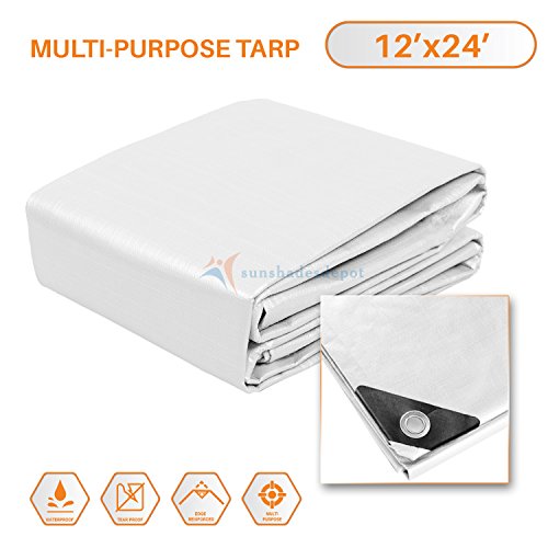 TANG Sunshades Depot 12 x 24 Feet Heavy Duty 10 Mil White Cover