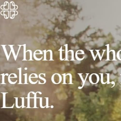 Fitbit founders create Luffu app for intelligent family care
