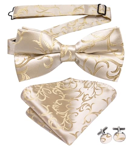 Image of Dubulle Mens Paisley Striped Bowtie Set Pre-tied Bowtie for Men and Pocket Square Set Wedding Business