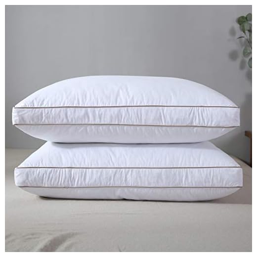 Yalamila Goose Feathers and Down Pillow for Sleeping (2-Pack)- Cotton Fabric Cover Skin-Friendly - Luxury Hotel Soft Gusseted Pillows - Side Back Sleepers- Queen (20x30 inch)