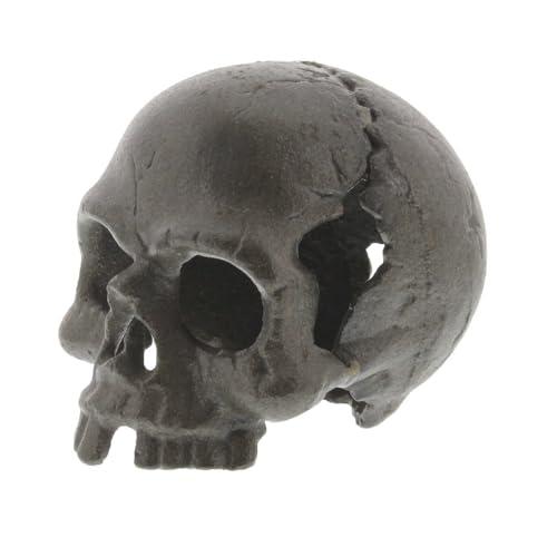 HomArt Skull, No Jaw