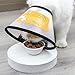 JIAMIAN Hundekegel Halsband, Verstellbar Haustier Halsband Anti-Bite Leck Wundkegel Heilen Schutzkragen, Elisabethanischer Kragen Schutzkragen Großer Hund (Halsumfang: 42-46cm)