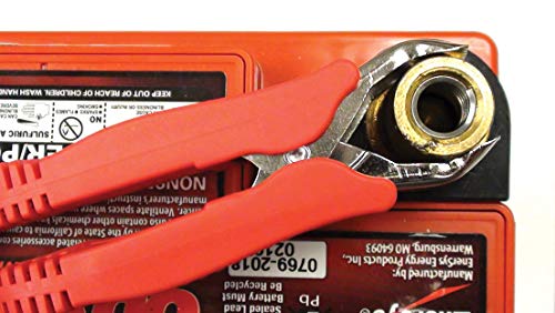 Tecmate Optimate Cable O-04, Morsetti della