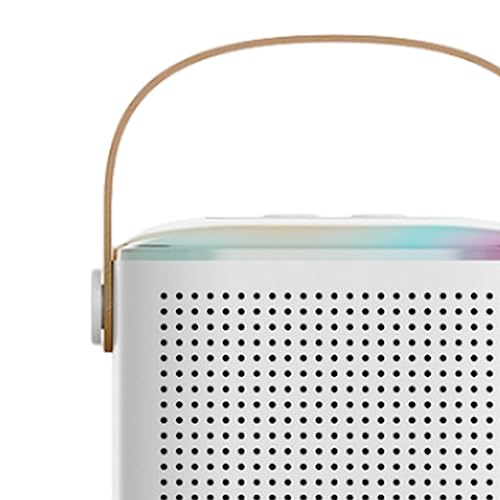 Colaxi Sistema de alto-falante portátil Alto-falante Bluetooth portátil com microfone sem fio Microf
