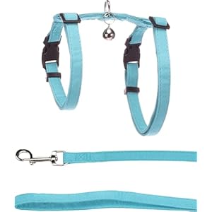 Flamingo Harnais avec Laisse pour Chat Lomi Bleu Clair – Taille A:22-36cm B:27-46cm C:110cm x 10 x 2mm – Confortable, Réglable et Élégant, Idéal pour Maine Coon, Bengal, Siamois & Ragdoll