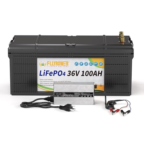 FLLYROWER 36V Lithium Battery 100AH With 200A Smart BMS and 16500 Deep...