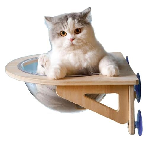 QueeningetL nbN  LbgEH[N ǂɌȂ {E L̉Ƌ nEX FD JvZ^ Ǖt