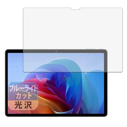 Leipsden BNCF Bpad 10 �Ή� BlueGloss �ی� �t�B���� �u���[���C�g�J�b�g �ڂɗD���� ���� ���{��