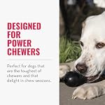 KONG Extreme Goodie BoneTM - Os de chien en caoutchouc durable pour les mangeoires de puissance, noir - Pour chiens moyens
