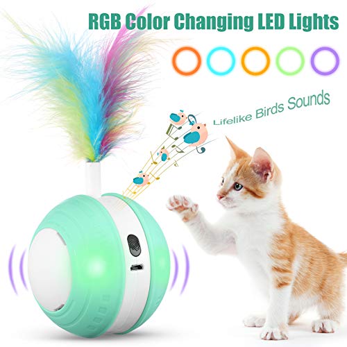 Interactive Cat Toys Ball with Colorful Light & Bird Sound - USB Charging Automatic Irregular 360 Degree Self Rotating Ball - 5 Replacement Feathers Robotic Cat Toy for Indoor Cats Kitten (Green)