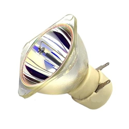 Pièce de rechange ampoule de projecteur 5J.08G01.001 BenQ MP730