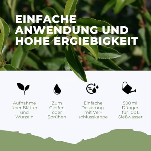 Kirschlorbeer Dünger Flora Boost 500ml für gesunde Pflanzen