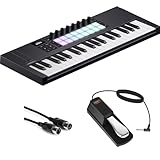 Novation Launchkey Mini 37 MK4 USB MIDI Keyboard Controller (37 Mini Keys) Bundle with Auray FP-P1L Universal Piano-Style Sustain Pedal and Hosa Mid-310 Black 10 ft. Midi cable