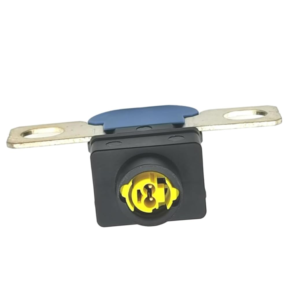 Riloer Monitor batteria, tester batteria auto scatola fusibili batteria auto pirofusibile scatola accumulatore di energia, scatola fusibile scollegamento batteria auto compatibile con Mercedes-Benz