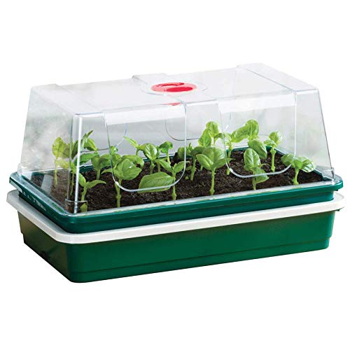 Garland One Top Electric Propagator